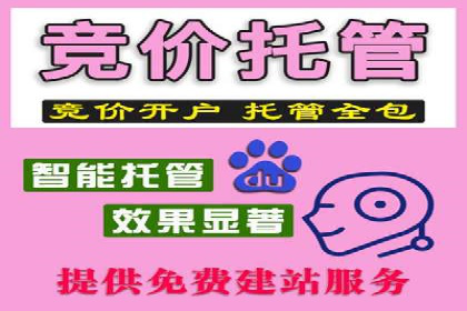 SEM代运营机构案例：广告投放效果提升策略